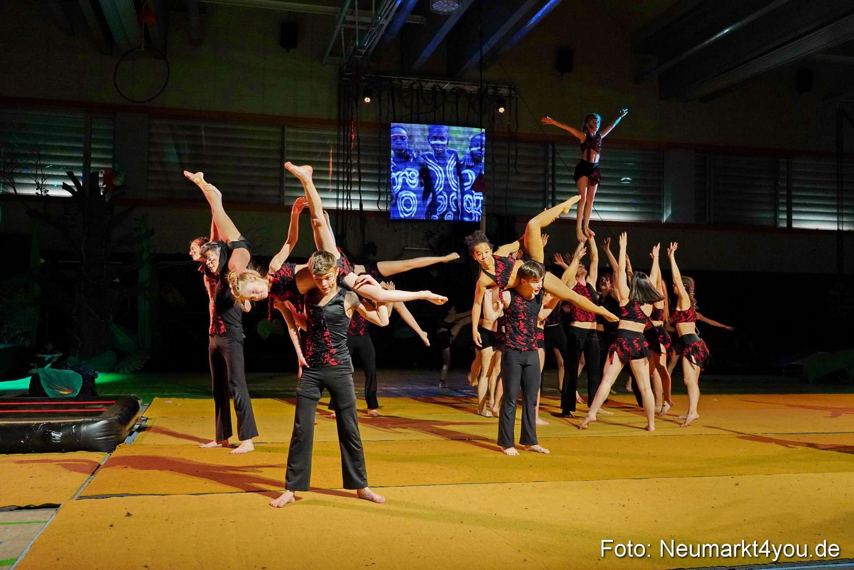 Artico Artistical Dschungelbuch 2020 0164